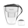 Pearlco Wasserfilter Astra Anthrazit Inkl. 1 Protect+ Filterkartusche