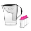 Pearlco Wasserfilter Standard Anthrazit Inkl. 3 AquaMag Filterkartuschen