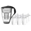 Pearlco Glas-Wasserfilter Anthrazit Inkl. 12 Universal Filterkartuschen
